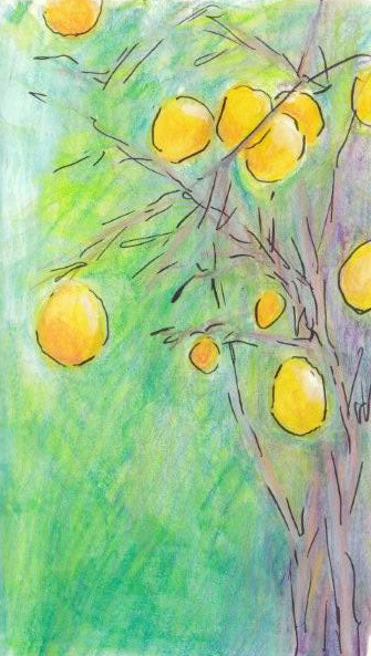 My Neighbor's Lemon Tree