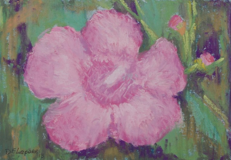 Flaxleaf False Foxglove