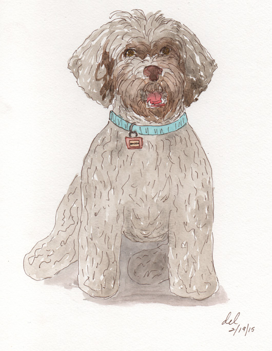 Mokie Sits Pretty - ink and watercolor