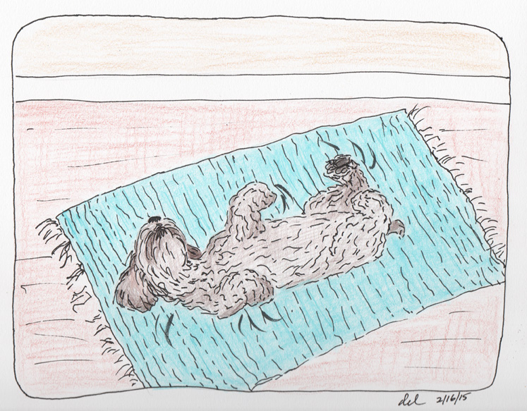 Mokie's Daily Conniption