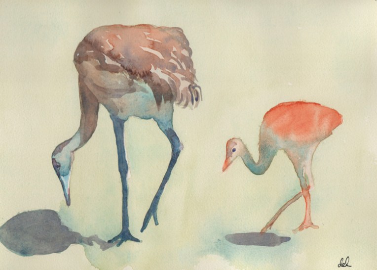 Spring Cranes - watercolor
