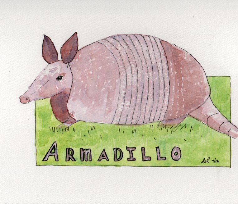 Armadillo