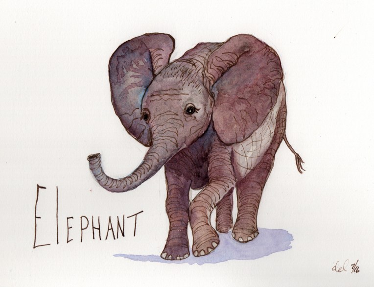 Elephant