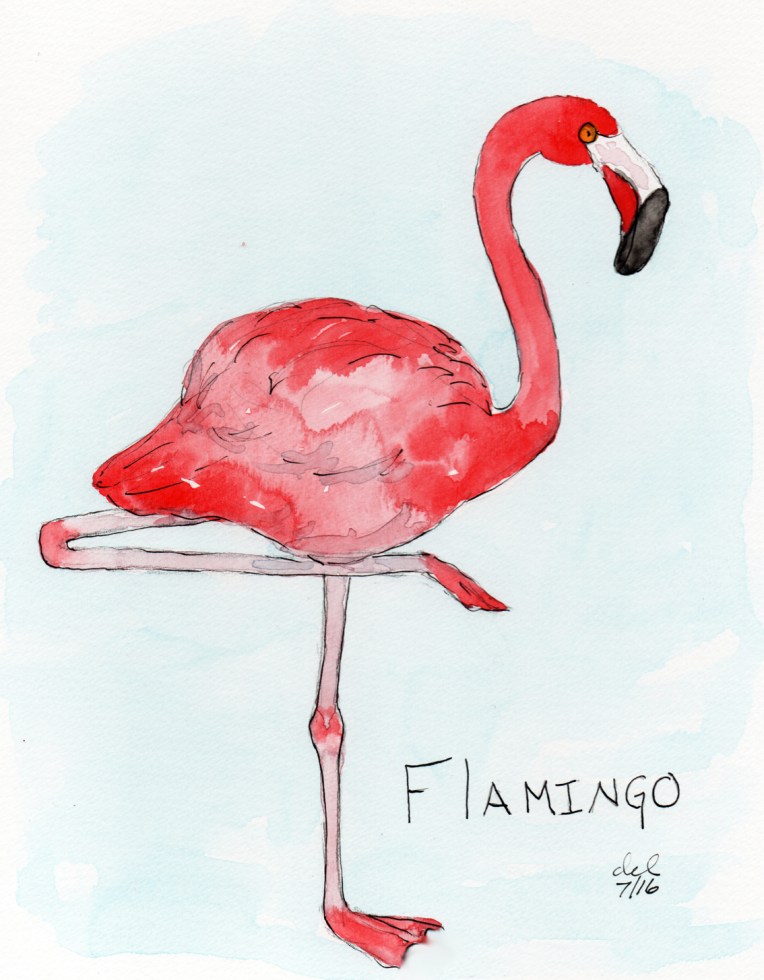 Flamingo