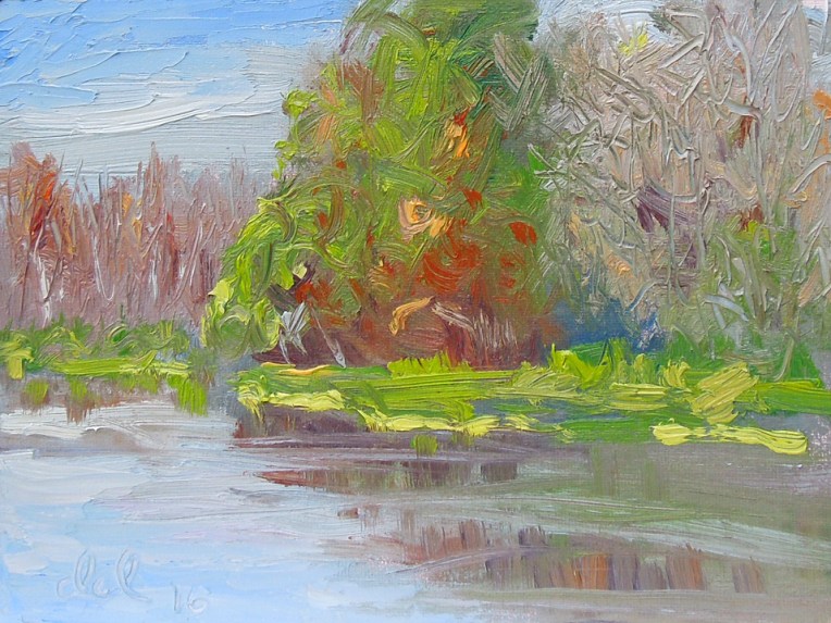Kissimmee River Bank - 6x8 oil on panel
