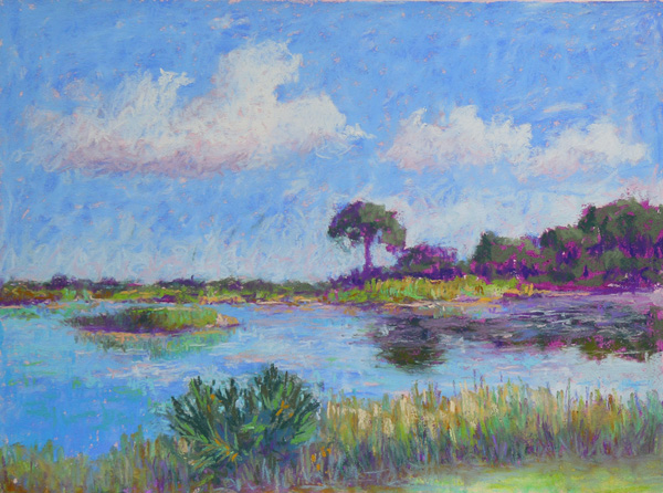 Savannah - 12x16 - pastels