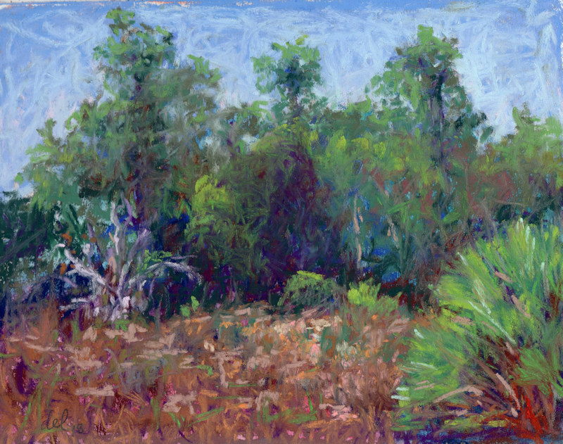 port st lucie botanical s